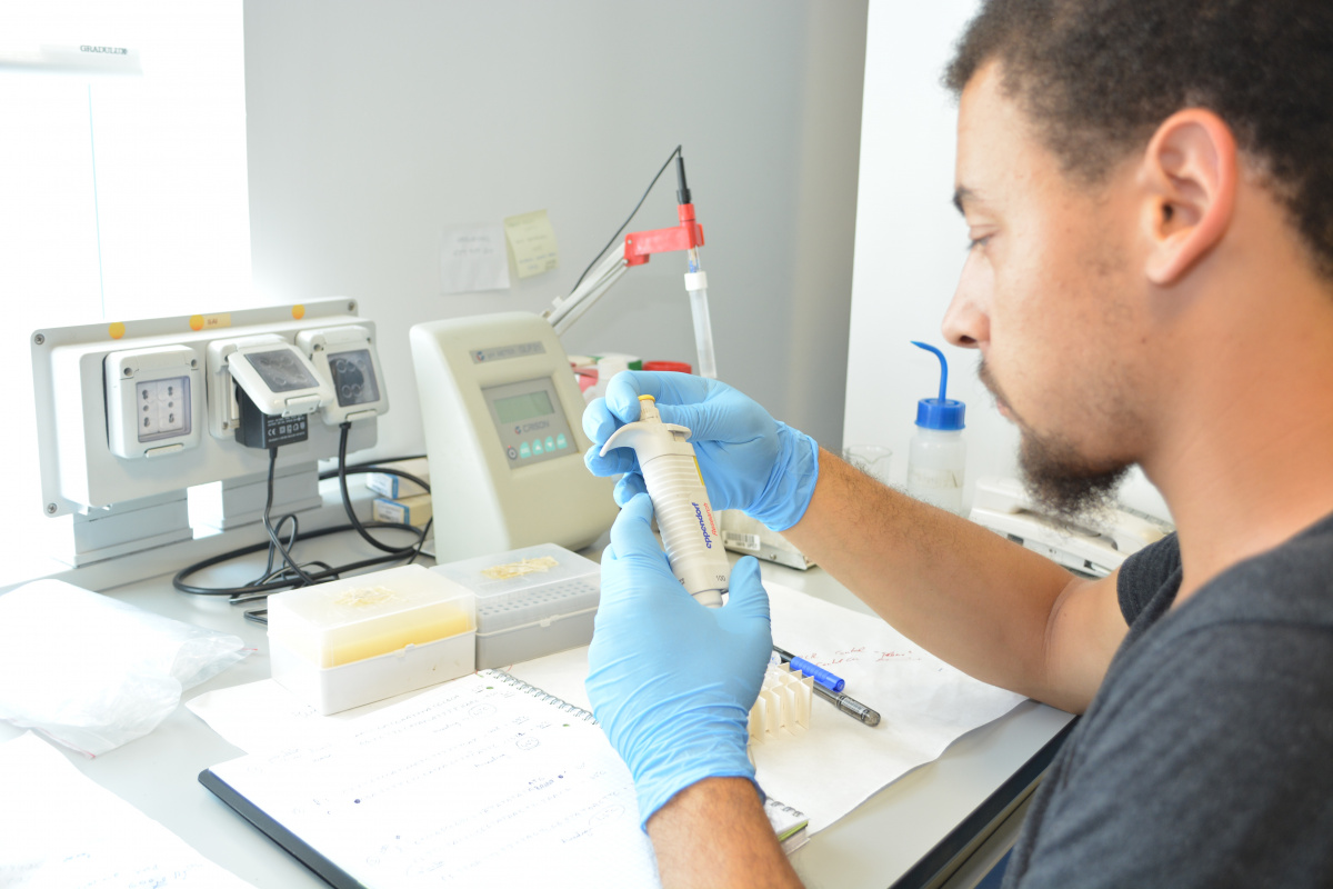 Un investigador extranjero en el Instituto de Biotecnología Vegetal de la UPCT.