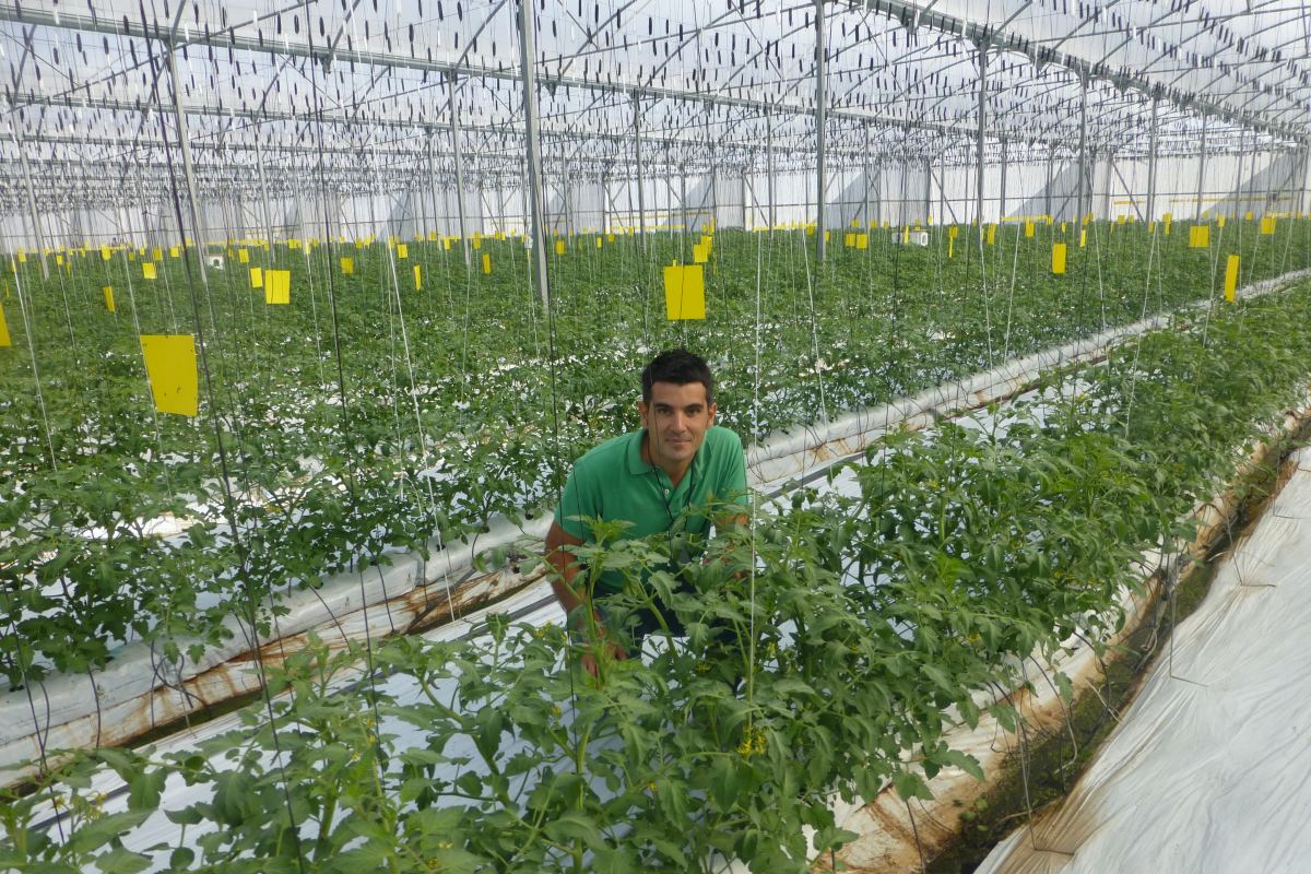 Javier Calvo, en un invernadero de la empresa