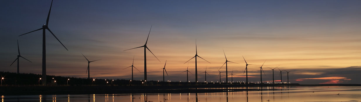 Máster Universitario en Energías Renovables - Universidad Politécnica de Cartagena